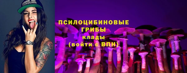 трава Верхний Тагил