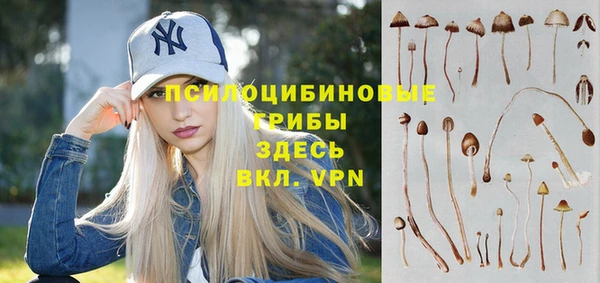мет Верея